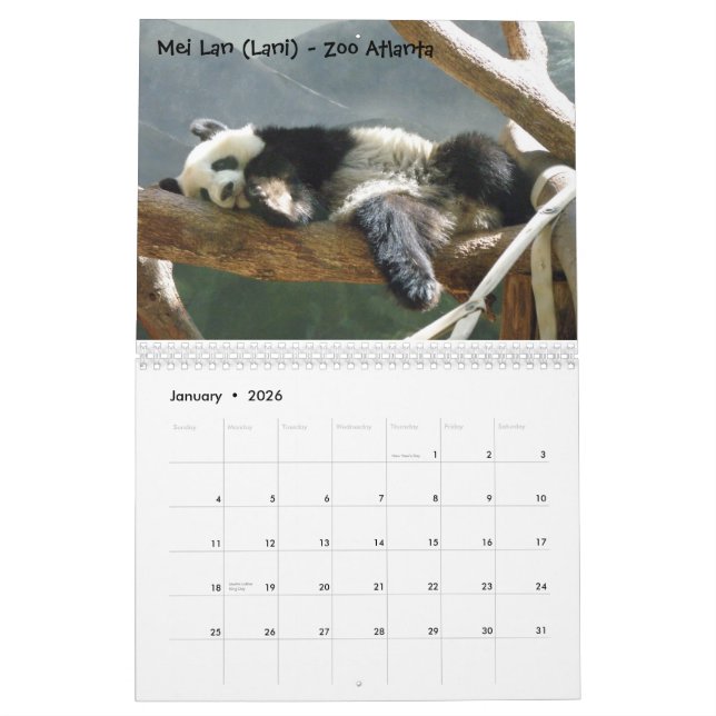 Eine Leidenschaft für Pandas! , tragen 2009, Pho… Kalender (Jan 2026)