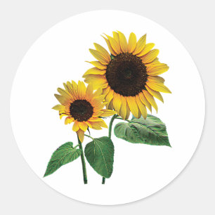 Eine Liebe einer Sonnenblume Runder Aufkleber