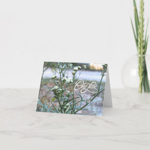 Eine Liebe, Weiße Wildblume, Natur Kunst Grußkarte Dankeskarte