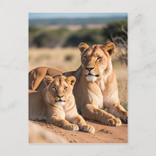 Eine Lioness mit ihrem Hund Postkarte