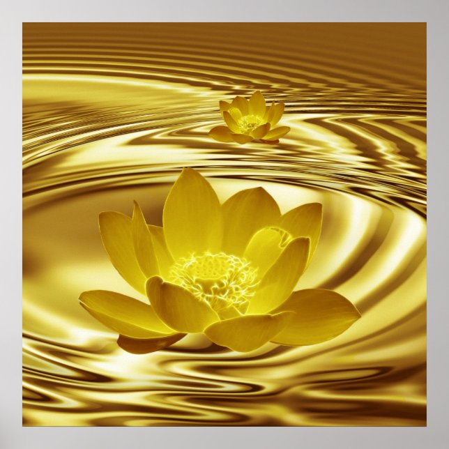 Eine Lotus-Blume mit Goldfarben und Reflexionen Poster (Vorne)