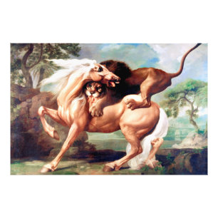 Eine Löwe attackiert ein Pferdegemälde -17620 Fotodruck