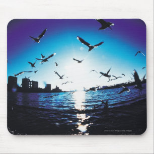 Eine Luftfisheye Linseansicht von Tokyo-Bucht, Mousepad