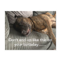 Eine lustige Bull Mastiff-Postkarte