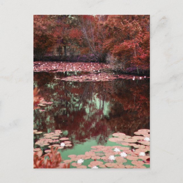 Eine magische Landschaft Postkarte (Vorderseite)