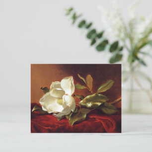 Eine Magnolie auf rotem Samt, berühmtes Gemälde Postkarte