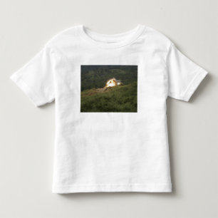 Eine Marine erzielt einen direkten Treffer Kleinkind T-shirt