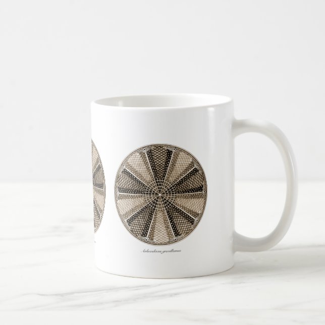 Eine Marinediatomee Kaffeetasse (Rechts)