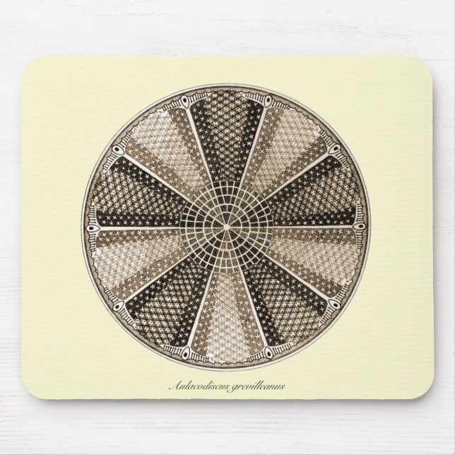Eine Marinediatomee Mousepad (Vorne)