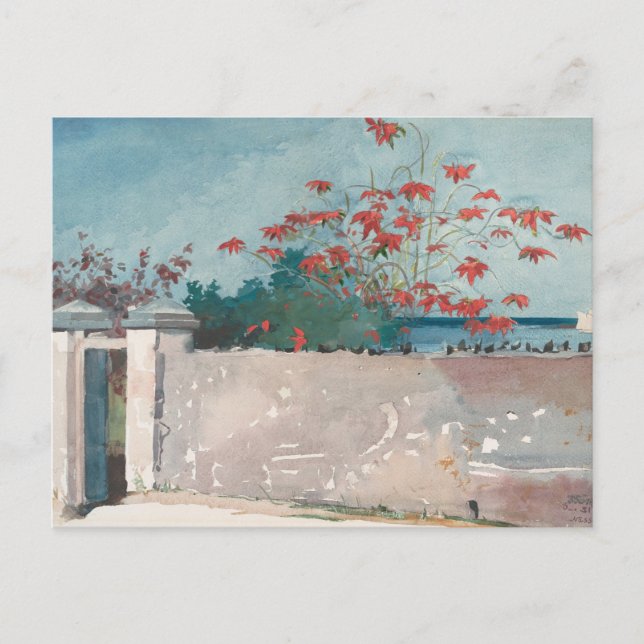 Eine Mauer, Nassau von Winslow Homer Postkarte (Vorderseite)