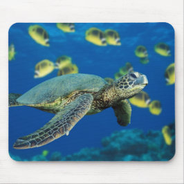 Eine Meeresschildkröte schwimmt an einer Schule vo Mousepad