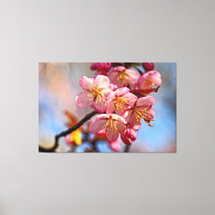 Eine Menge Süßer Sakura-Kirschblüten im Frühling Leinwanddruck