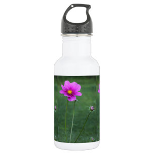 Eine mexikanische Aster Edelstahlflasche