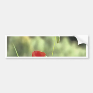 Eine Mohnmalerei künstlerischer Wildblume Autoaufkleber
