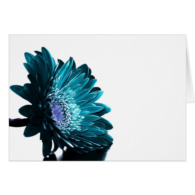 Eine Moonlit Nacht (Vorderseite (Horizontal))