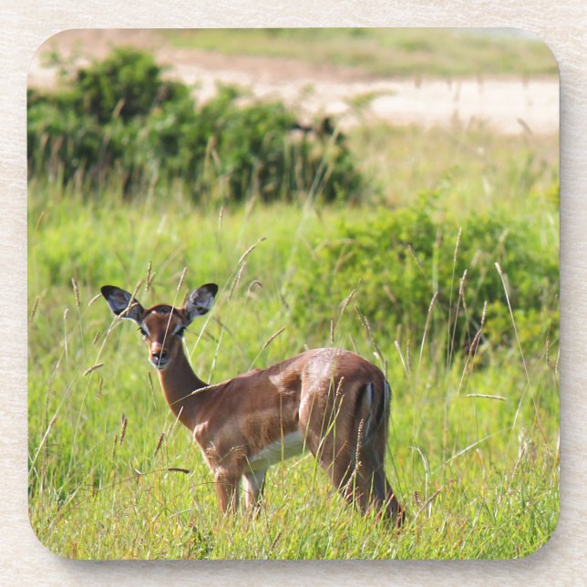 Eine Mutter und ihr Kalb Untersetzer (Vorderseite)