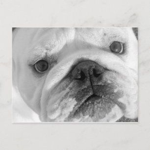 Eine neue Postkarte für Freunde