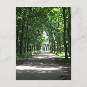 Eine niederländische Lane in Forrest in Holland Fo Postkarte