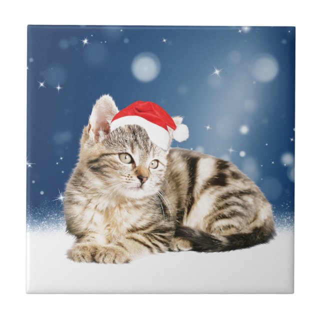 Eine Niedliche Katze, die einen Weihnachtsschnee i Fliese (Vorderseite)