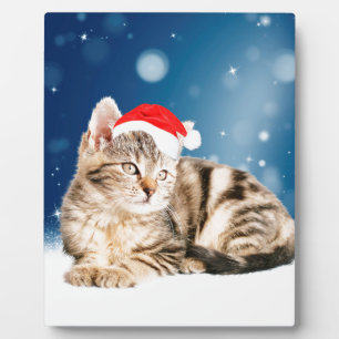 Eine Niedliche Katze, die einen Weihnachtsschnee i Fotoplatte