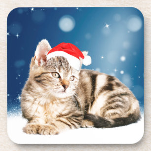 Eine Niedliche Katze, die einen Weihnachtsschnee i Getränkeuntersetzer