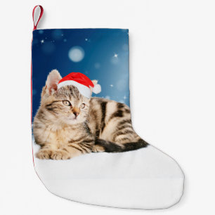 Eine Niedliche Katze, die einen Weihnachtsschnee i Kleiner Weihnachtsstrumpf