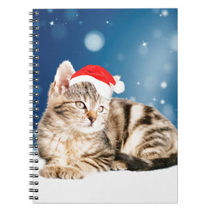 Eine Niedliche Katze, die einen Weihnachtsschnee i Notizblock