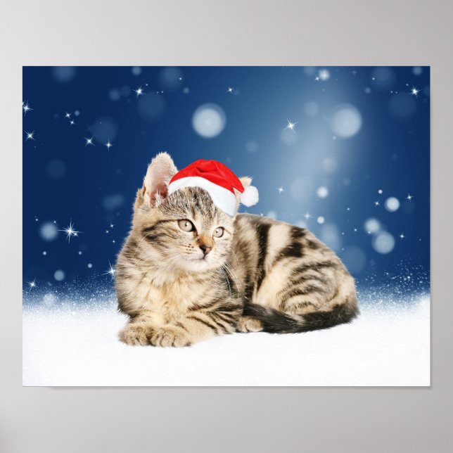 Eine Niedliche Katze, die einen Weihnachtsschnee i Poster (Vorne)
