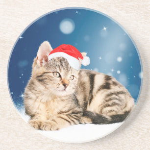 Eine Niedliche Katze, die einen Weihnachtsschnee i Untersetzer