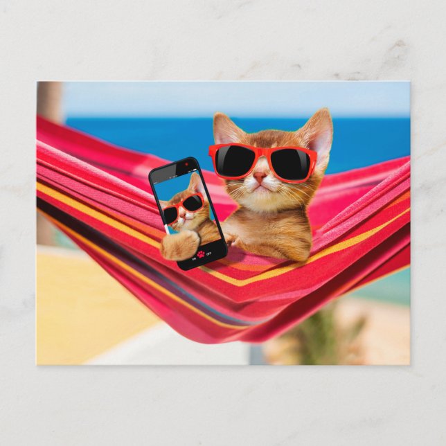 Eine niedliche Katze lag in einer Hängematte Postkarte (Vorderseite)