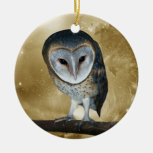 Eine niedliche kleine Schleiereule-Fantasie Keramik Ornament