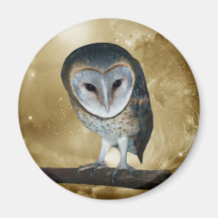 Eine niedliche kleine Schleiereule-Fantasie Magnet