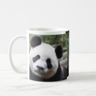 Eine niedliche Panda-Tasse! Kaffeetasse