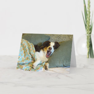 Eine niedliche Wohlfahrtskarte, Hund-Foto Dankeskarte