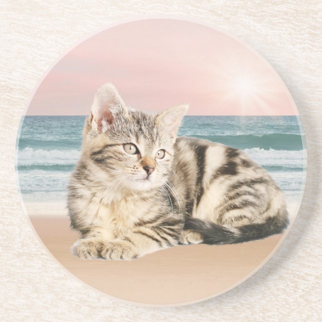 Eine Niedlichere gestreifte Katze am Strand mit So Getränkeuntersetzer (Vorne)