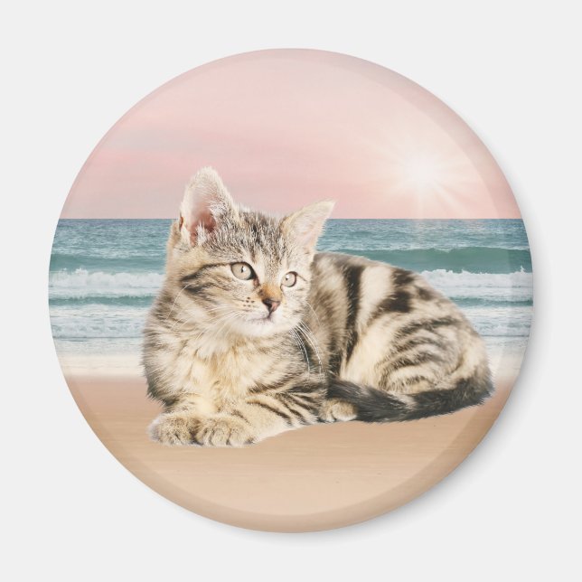 Eine Niedlichere gestreifte Katze am Strand mit So Magnet (Vorne)