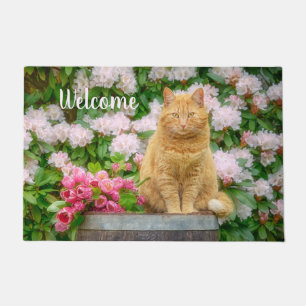Eine orangefarbene Katze im Garten mit rosa Frühli Fußmatte