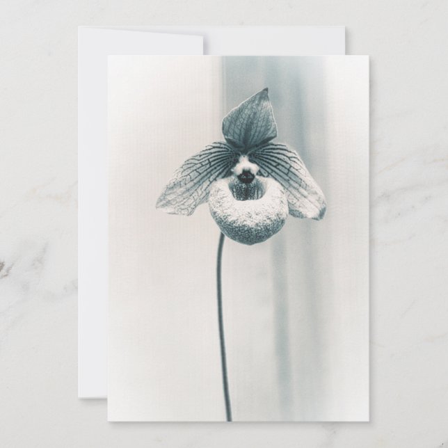 Eine orchid-Blume Karte (Vorderseite)