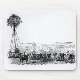 Eine Palme, die zu Hyde Park für transportiert Mousepad