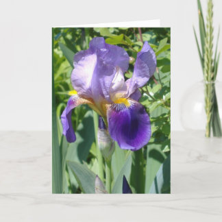 eine perfekte Iris des Singles Karte