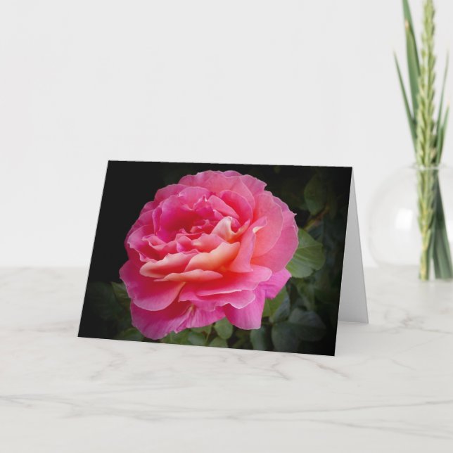 Eine perfekte rosa Rose, leere Grußkarte Karte (Vorderseite)