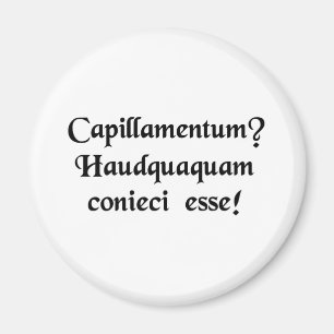 Eine Perücke? Ich nie würde geschätzt haben! Magnet