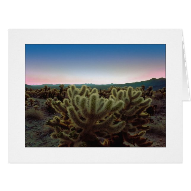 "Eine Pointy View" (Vorderseite (Horizontal))