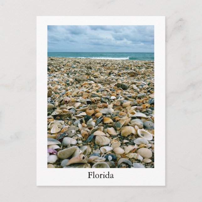 Eine Postkarte eines Strandes in Florida, USA mit  (Vorderseite)