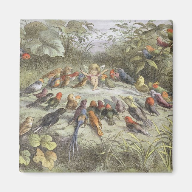 Eine Probe in Fairy Land, Abbildung von "In F Magnet (Vorne)