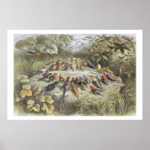 Eine Probe in Fairy Land, Abbildung von "In F Poster