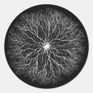 Eine Quelle Tree of Life Design Runder Aufkleber