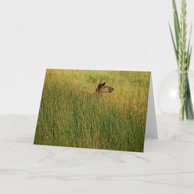 Eine Quick Peak Card Karte (Vorderseite)
