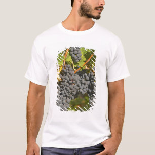 Eine Rebe mit reifen Merlot-Trauben - Chateau T-Shirt