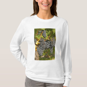 Eine Rebe mit reifen Merlot-Trauben - Chateau T-Shirt